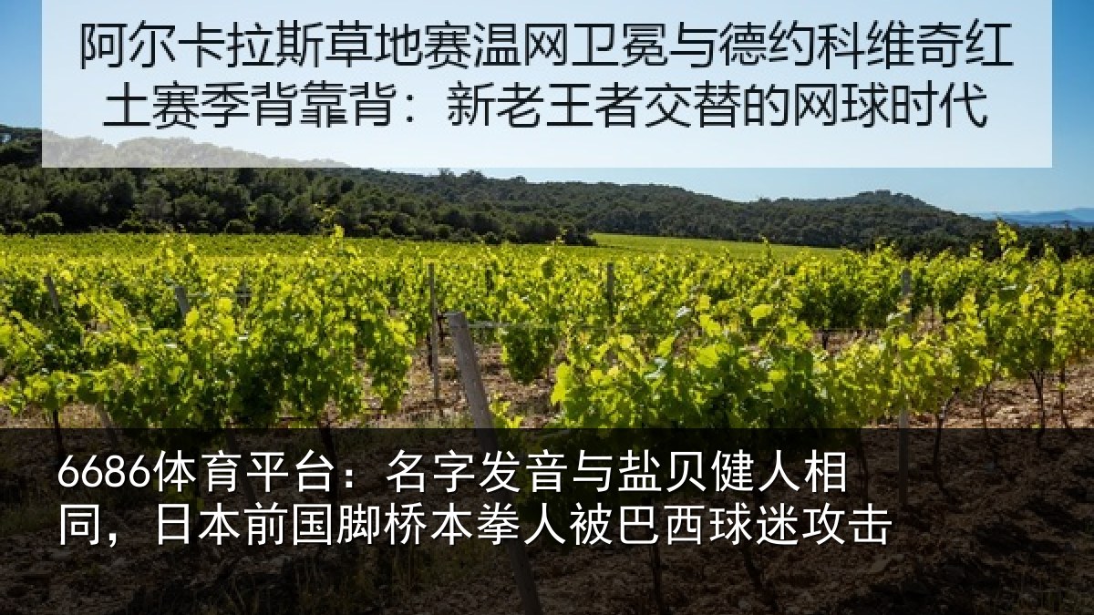 6686体育平台:名字发音与盐贝健人相同,日本前国脚桥本拳人被巴西球迷攻击